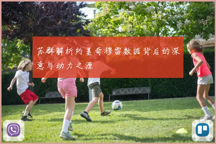 苏群解析约基奇穆雷数据背后的深意与动力之源